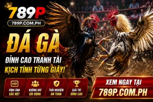 789P sports betting category