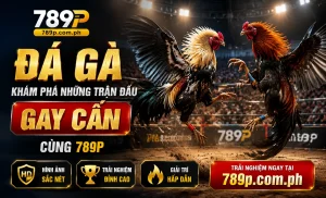 Trạng thái và nhãn trận 789P